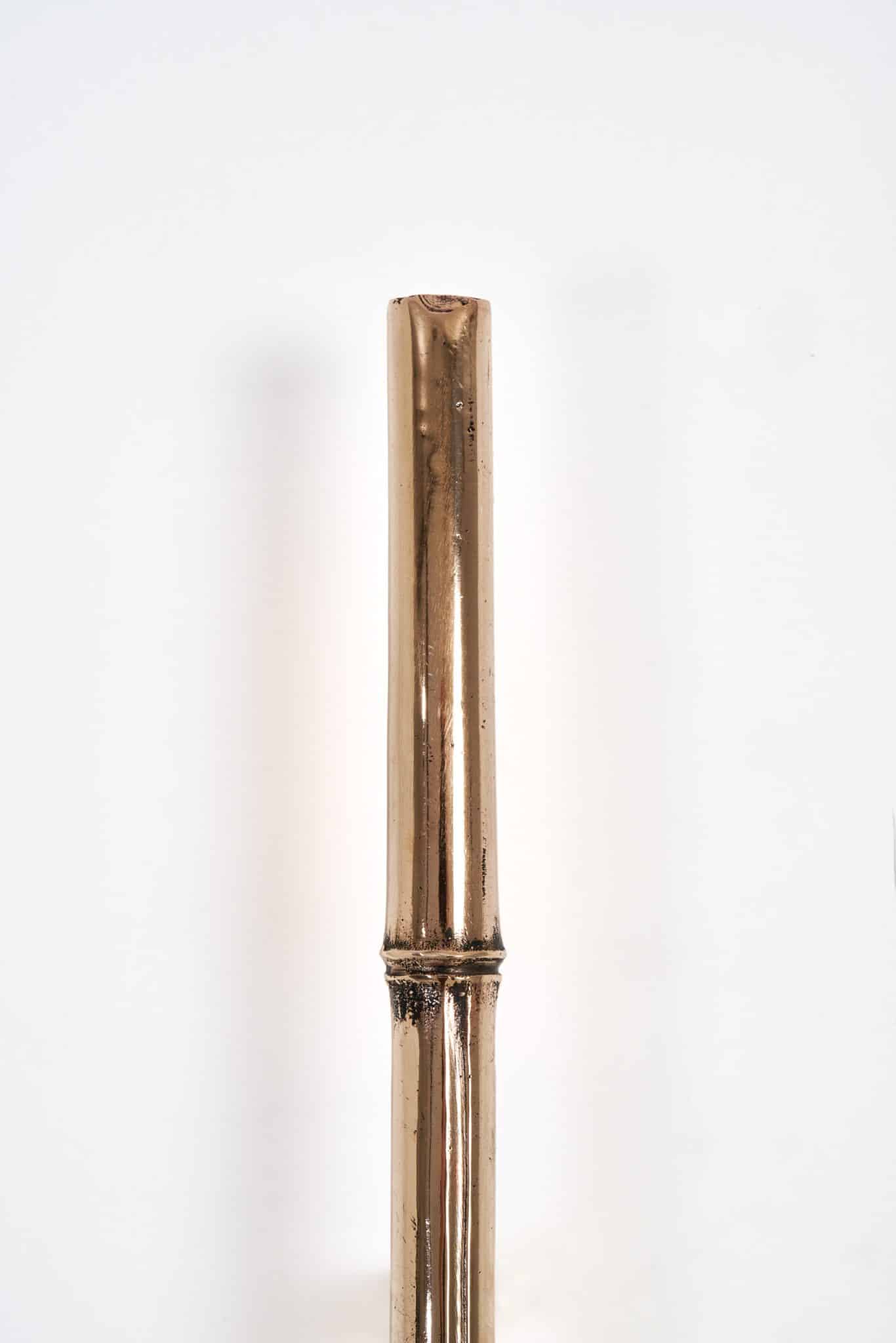 Bamboo Applique in Bronze