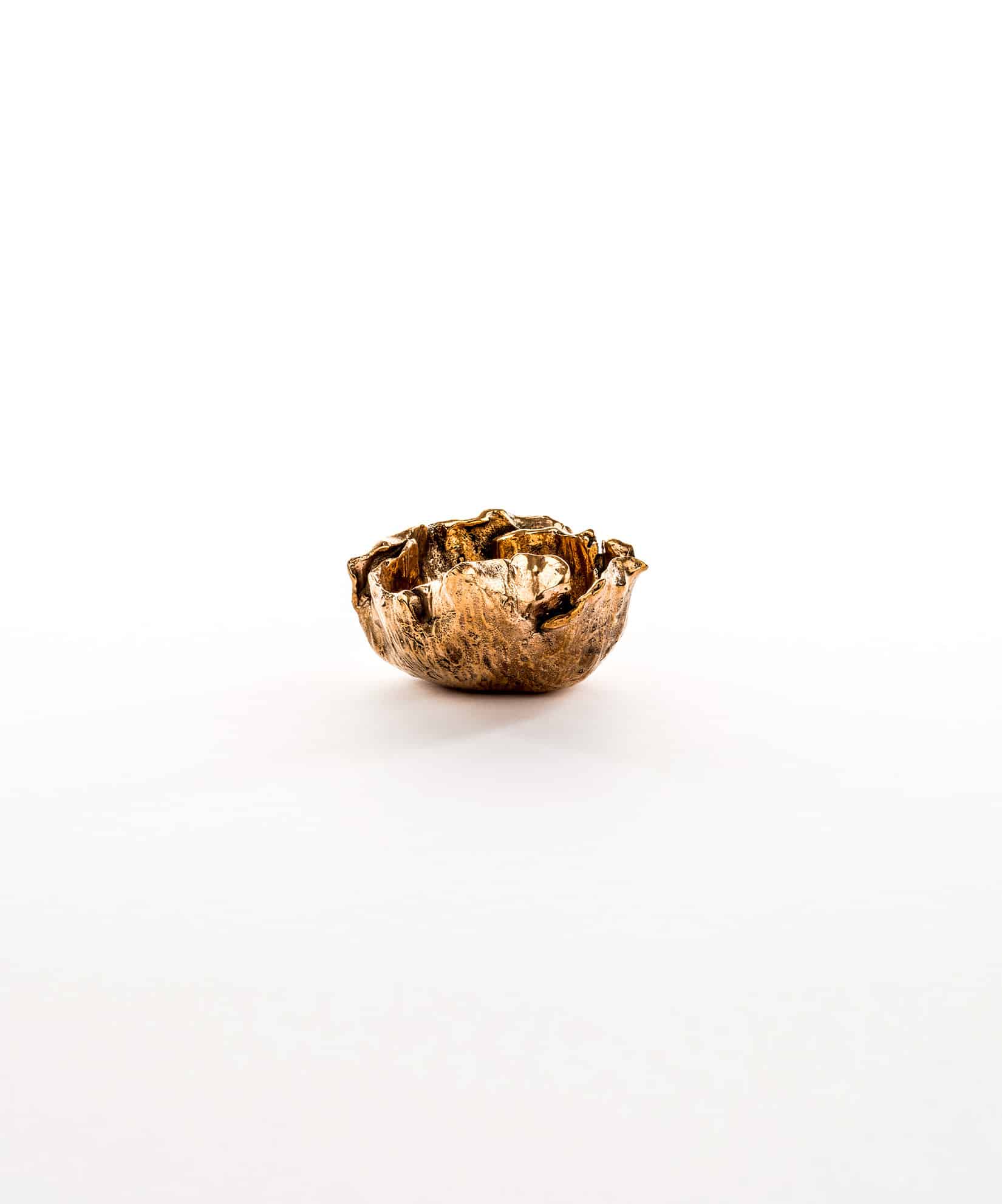 Catchall in Bronze Petite