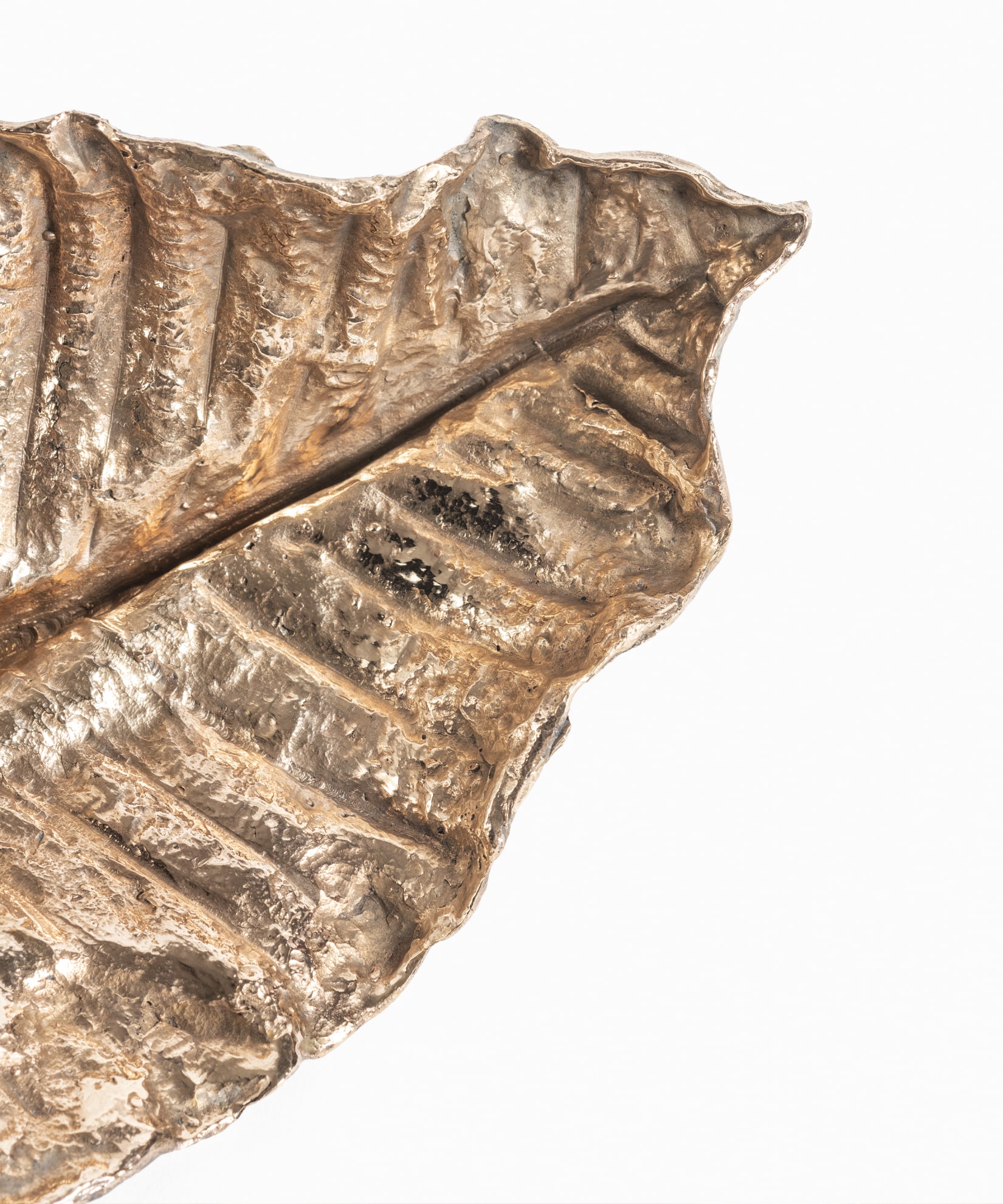 Macrofilla decorative element in bronze