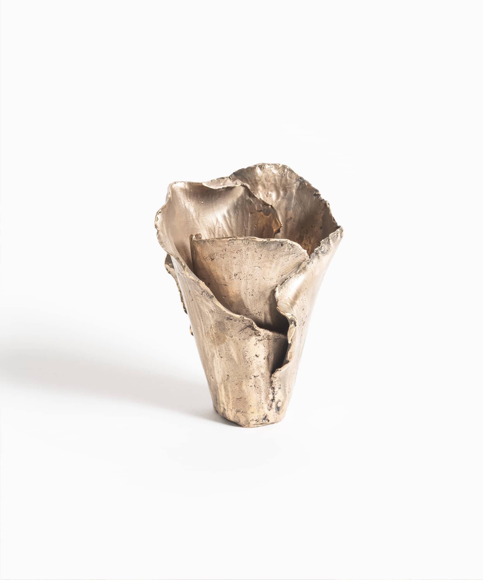 Vaso Naturalismo in Bronzo - Small