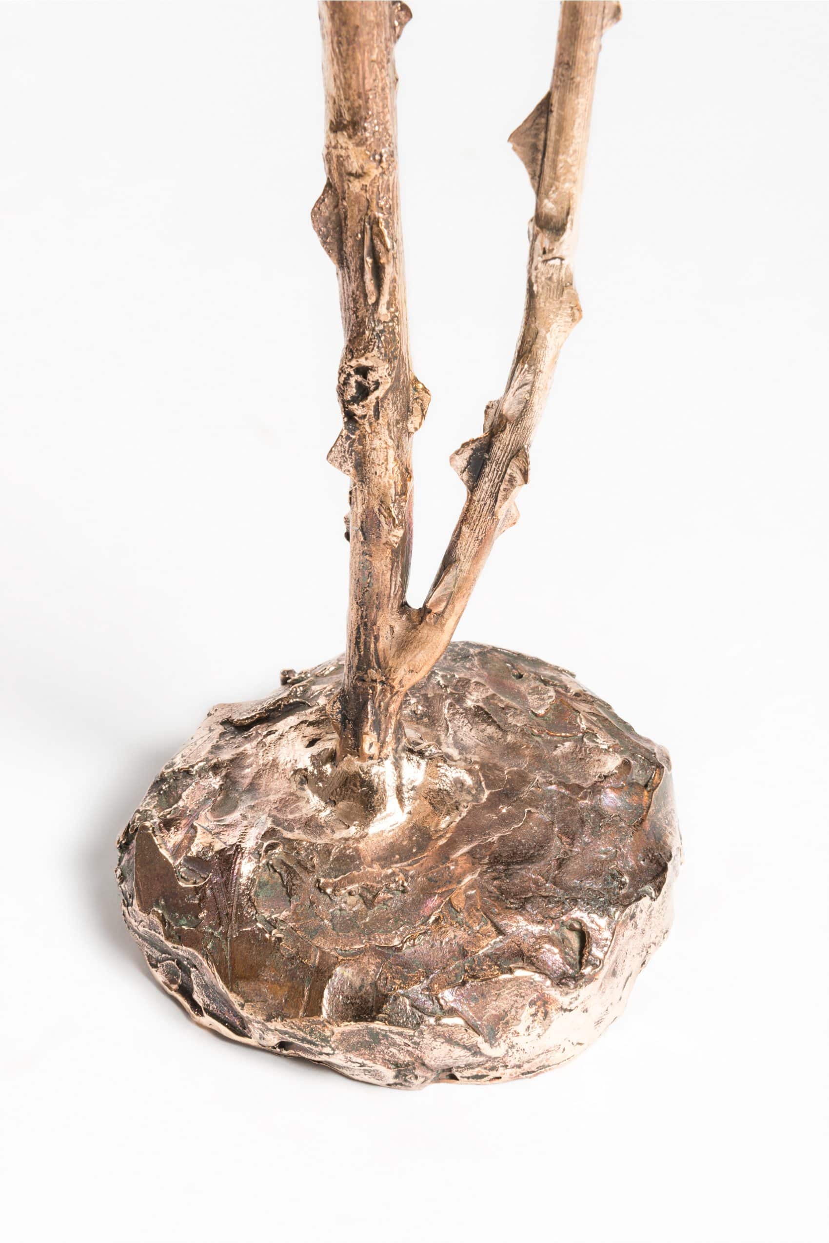 Rovi Table Lamp in Bronze